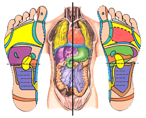 Les zones des pieds en corrélation avec le corps